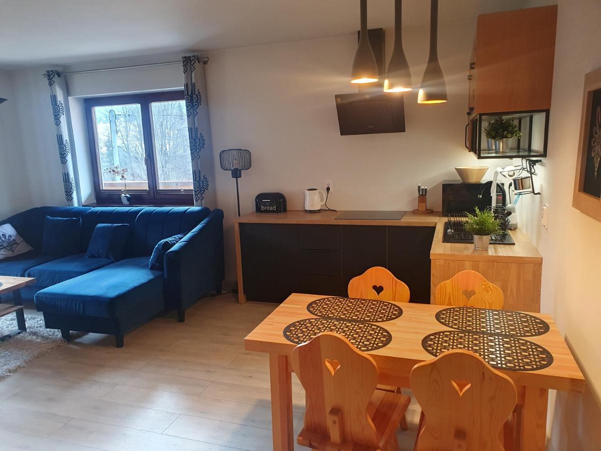 Apartament Sobiczkowa Zakopane Косьцелісько Екстер'єр фото