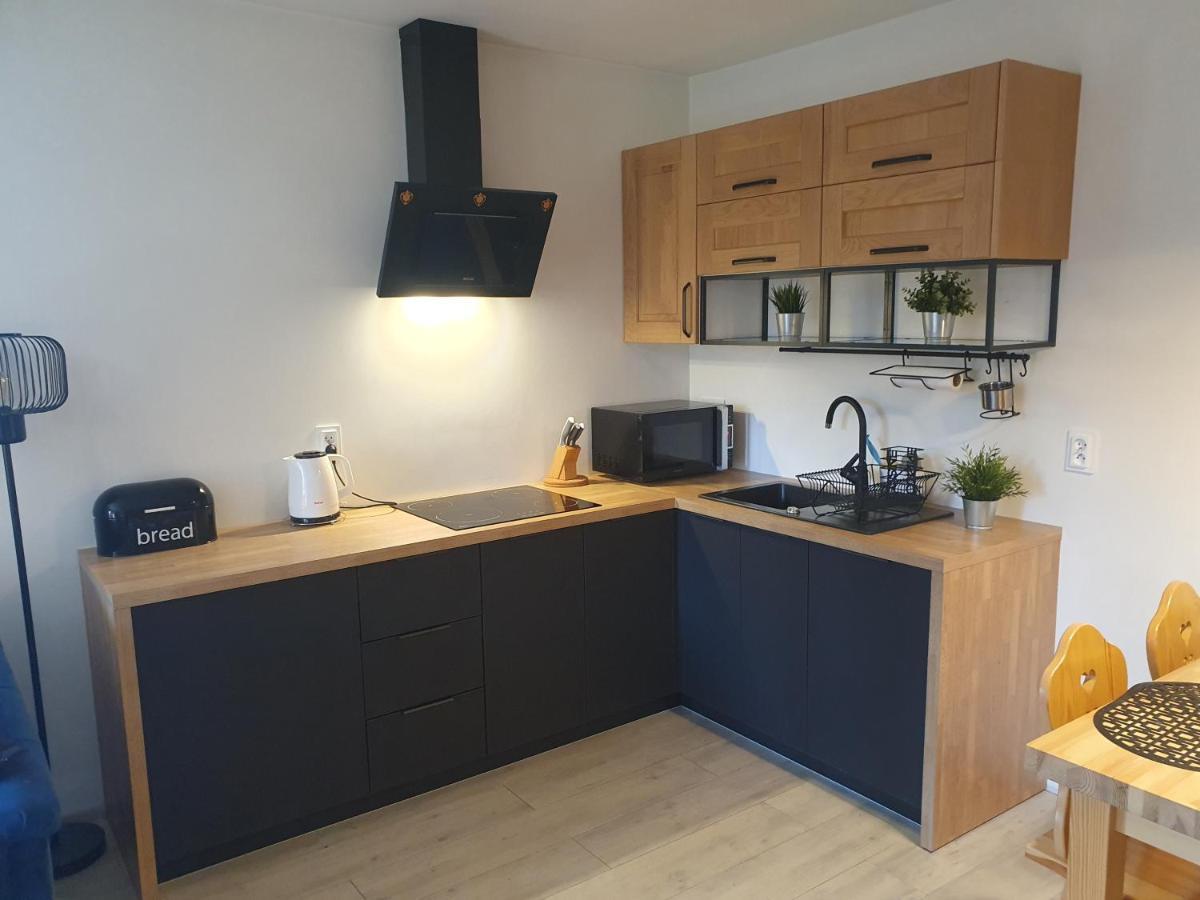 Apartament Sobiczkowa Zakopane Косьцелісько Екстер'єр фото