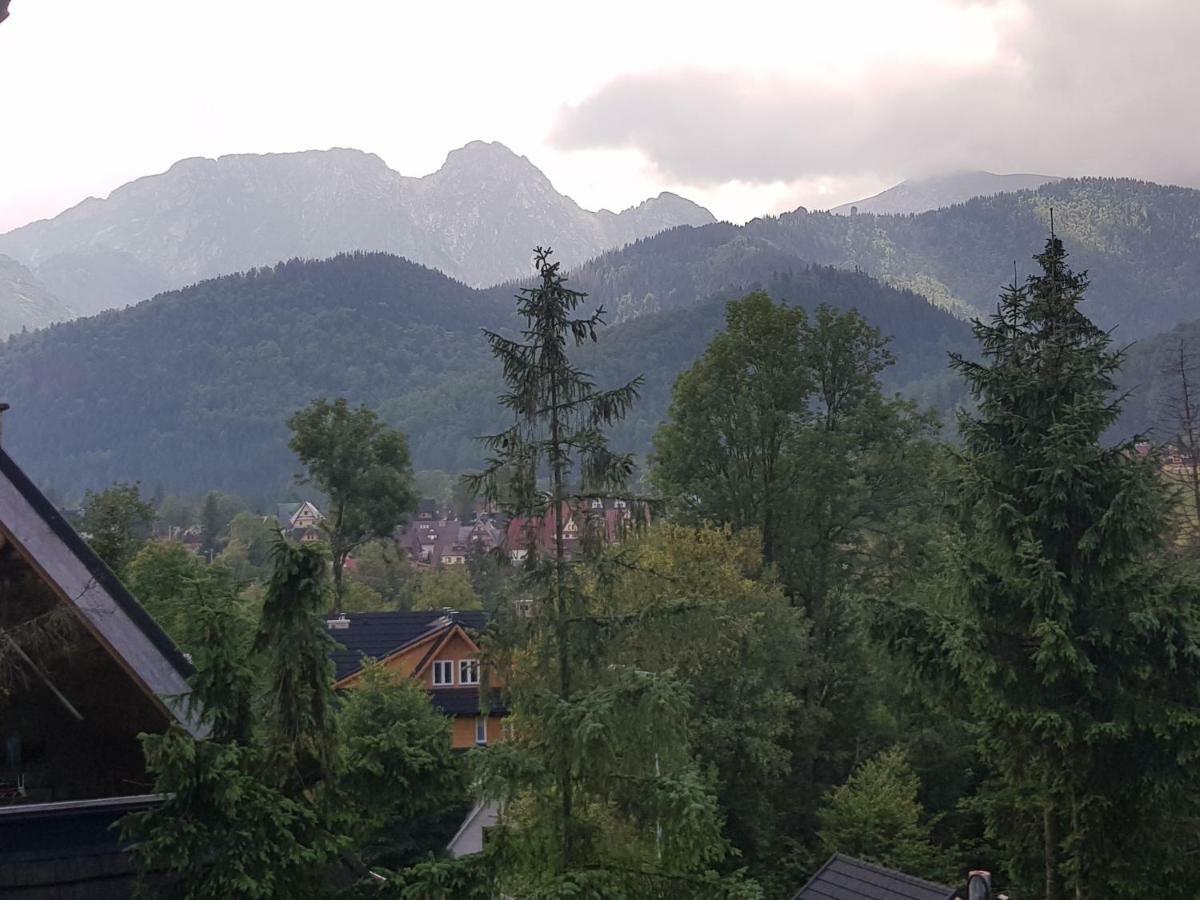 Apartament Sobiczkowa Zakopane Косьцелісько Екстер'єр фото