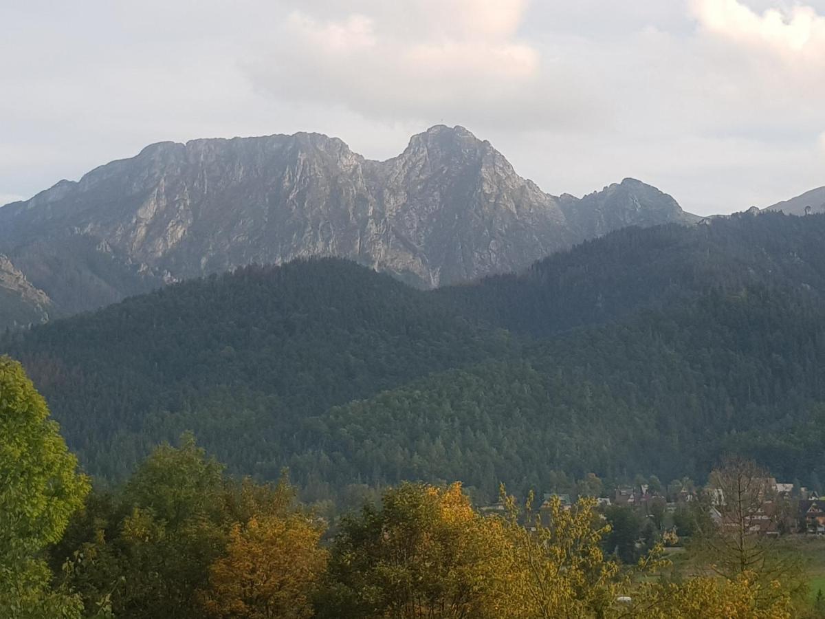 Apartament Sobiczkowa Zakopane Косьцелісько Екстер'єр фото